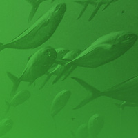 image for Conservation & Sustainable Development